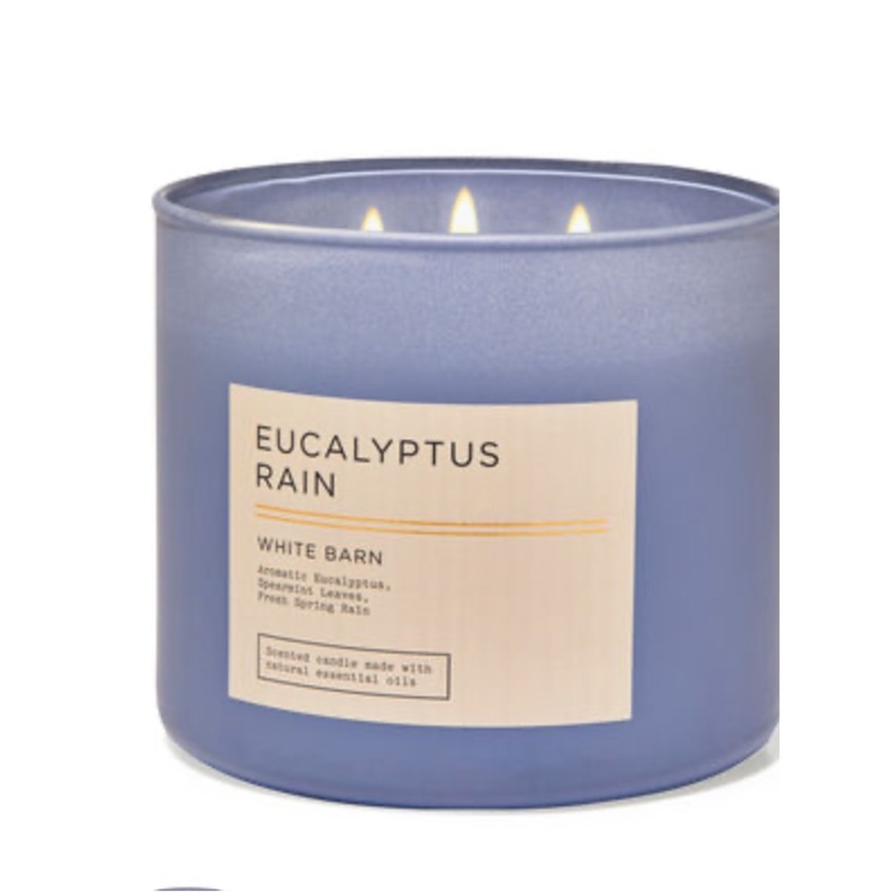 Bath and Body Works 3 Wick Candle